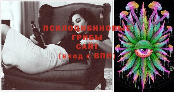 Альфа ПВП Алзамай