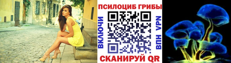 Псилоцибиновые грибы Psilocybe  Чусовой 